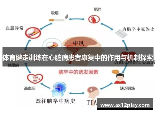 体育健走训练在心脏病患者康复中的作用与机制探索